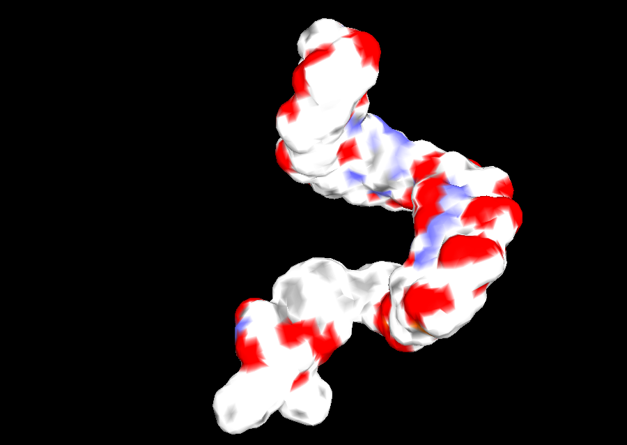 Energy-minimized structure of a lipo-oligonucleotide