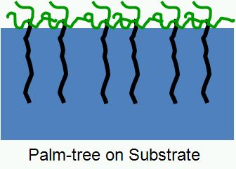 Scheme 1.1: Schematical arrangement of Palm Tree polymers at liquid interfaces.