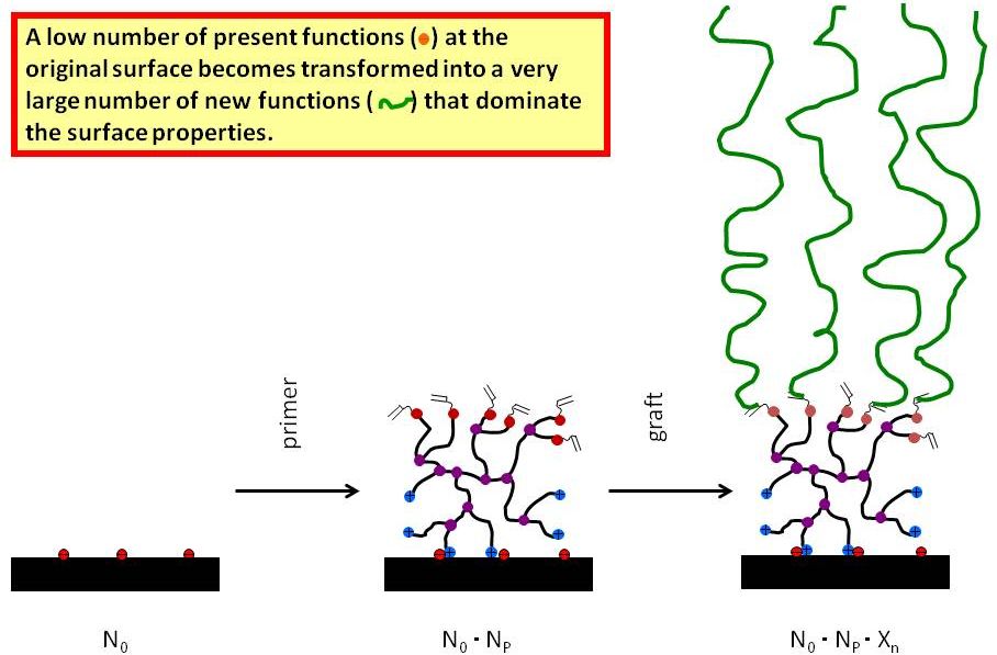Figure 3.1: Functional group multiplication by Quat-Primer adsorption / polymerization Figure 3.1: Functional group multiplication by Quat-Primer adsorption / polymerization